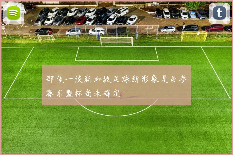邵佳一谈新加坡足球新形象是否参赛东盟杯尚未确定